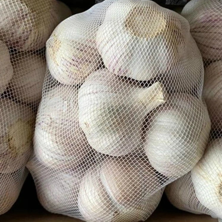 Wholesale 2020 new fresh garlic supplier normal white garlic