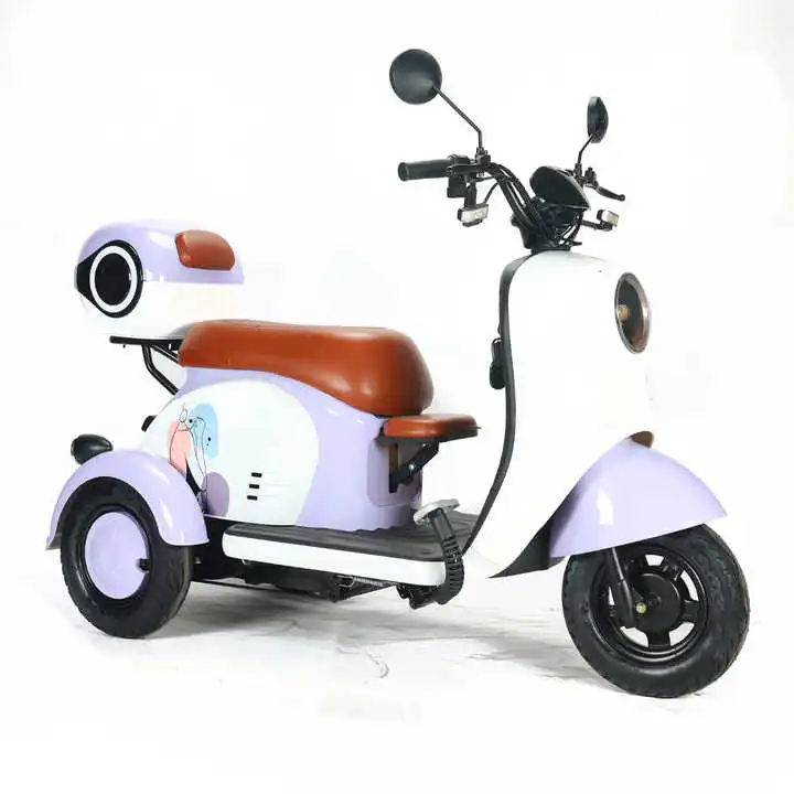 Factory Export Hot Selling 650W/800W Electric Steel 3-Wheel Passenger Tricycle Central Motor Customized E-Tricycle 48V Voltage