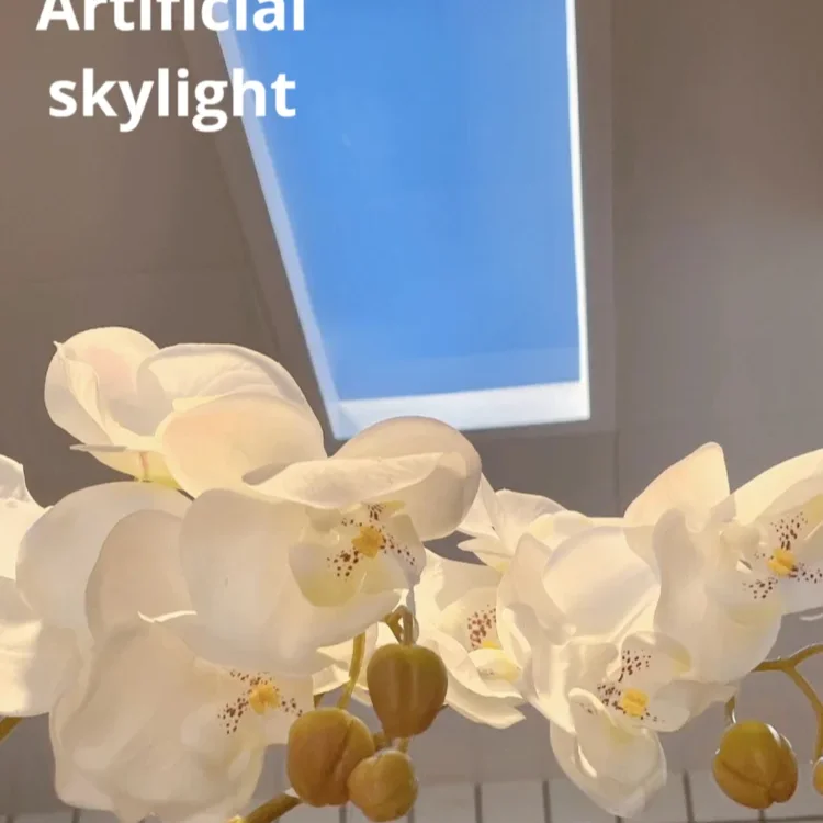 Smart Home Wifi Control bathroom lights ceiling lamp PeseTech LED Artificial Skylight Nightingale  Skylight