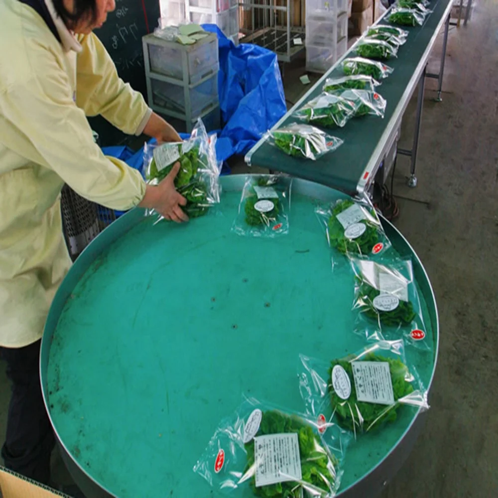 JS Motor driving turntable conveyor Model ST