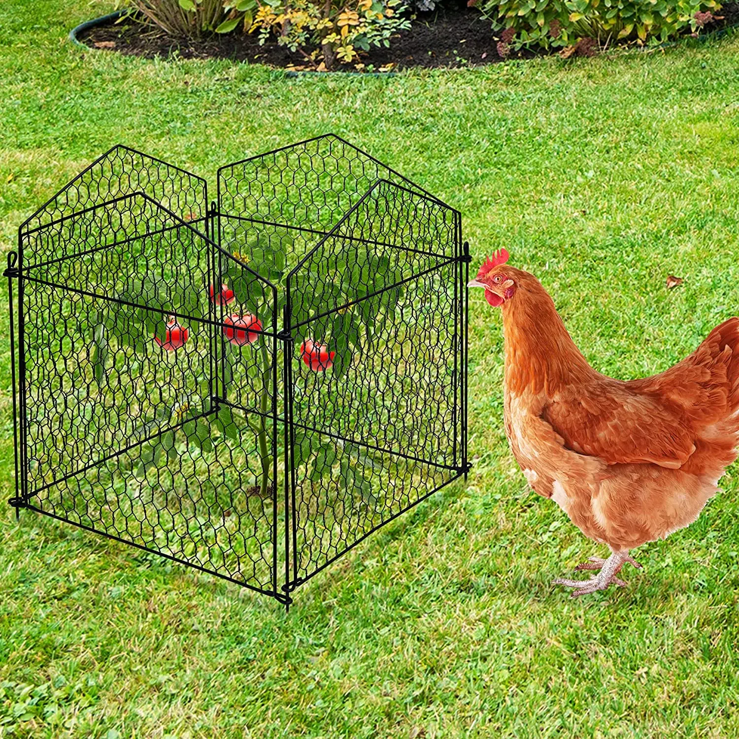 Large Wire Guard Protection Animal Garden Fence Barrier Plant Cage Cloche Cover For Plants Vegetables and Shrubs