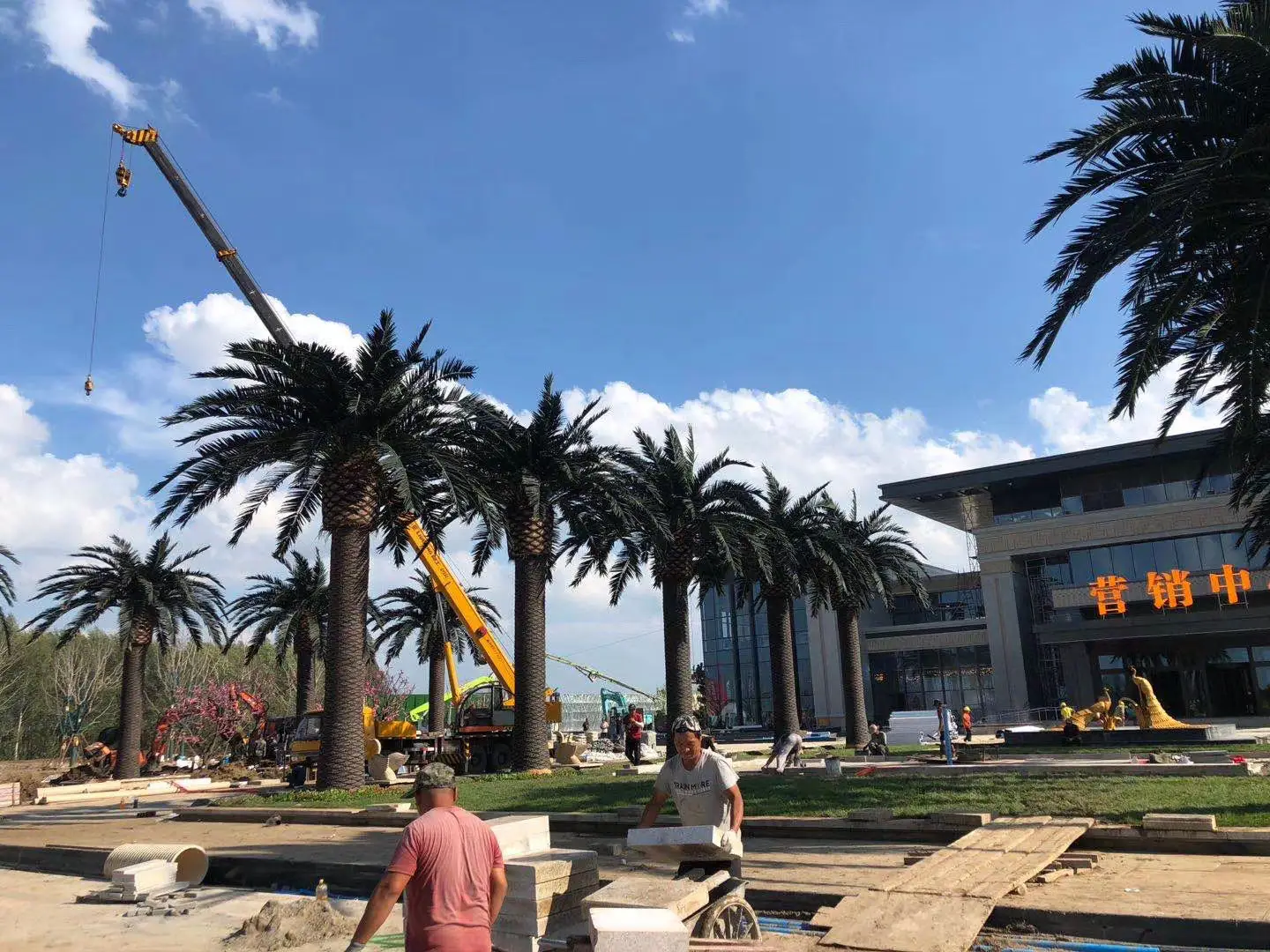 Factory Direct Sale Customized Big Fake Seaweed Palm Tree Large Artificial Date Palm Tree For Garden Hotel Landscaping & Decking