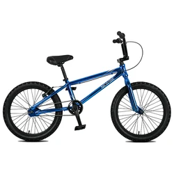 NEWBIE Real Manufacturer 20 Inch Unisex Rainbow Paint Freestyle Racing Stunt Bike