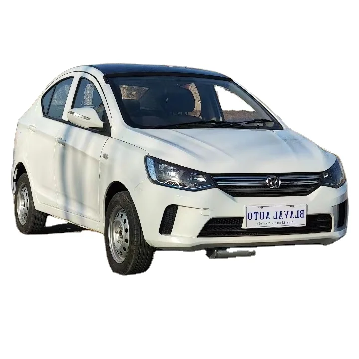 2024 Новый энергетический автомобиль RHD BLAVAL FH-S8 EV Car