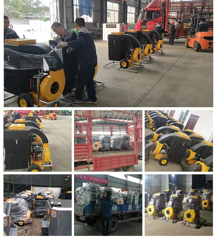 Clean Up Easy Petrol Walk Behind  Mobile  Vacuum Leaf Collector Chipper Machine for Lawn Garden Outdoor