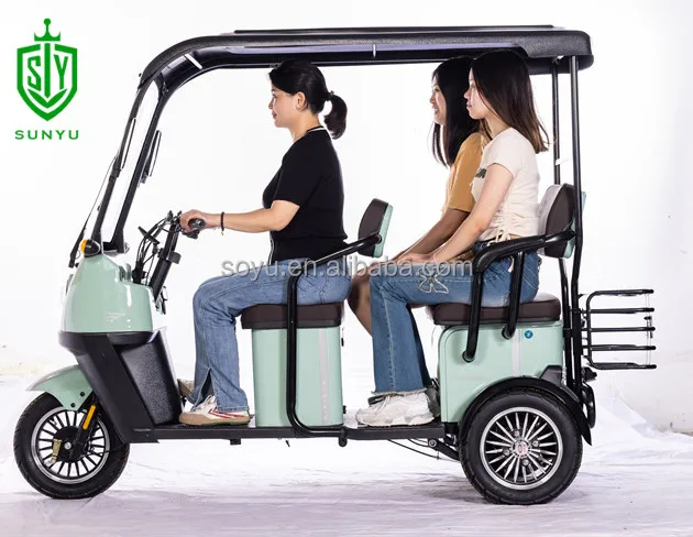 Electric Adult Tricycle Fatbike From China Ebike Max Motorcycle Custom Magnet Body Steel MOTOR Power Bicycle Wheel Brake Cargo