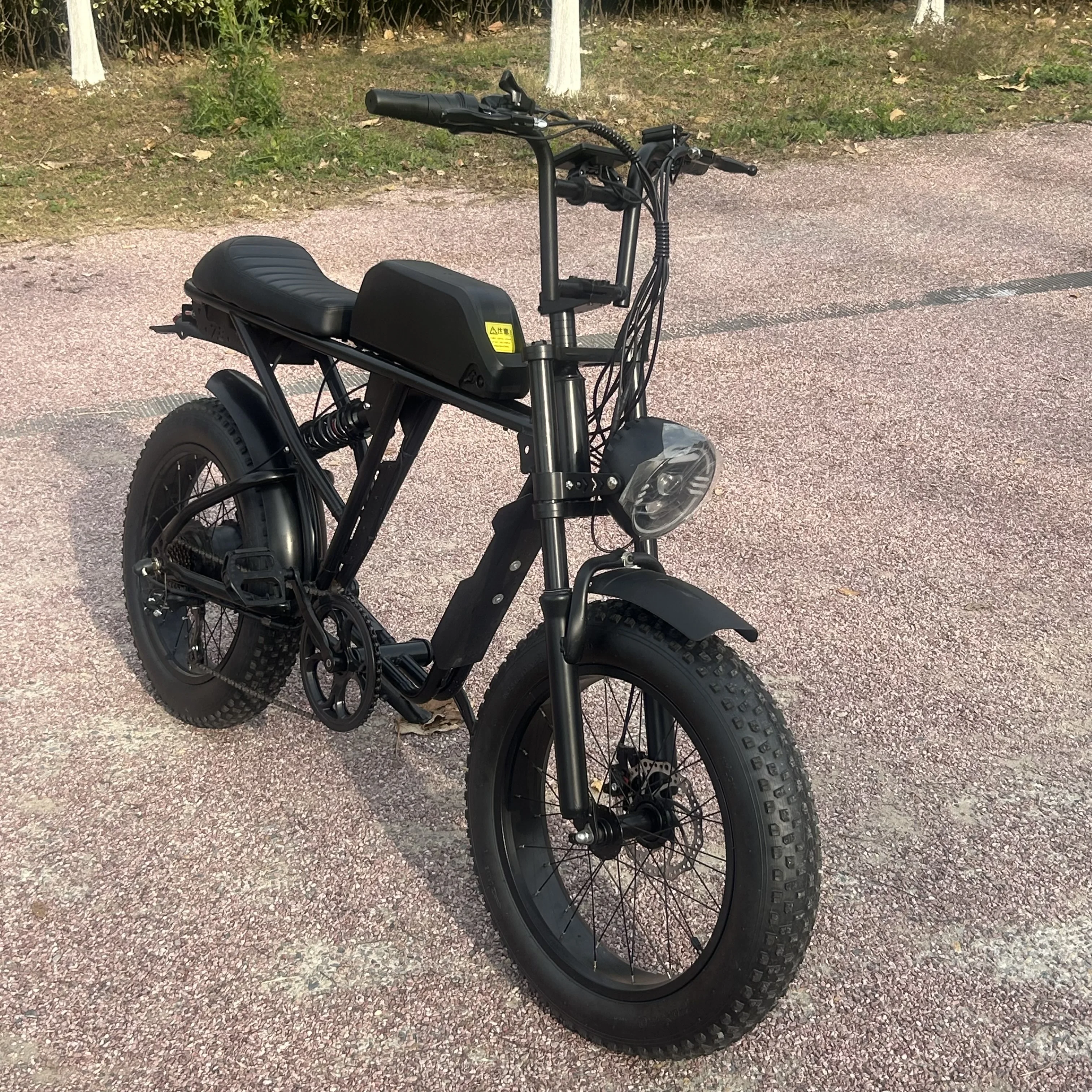 Low Price German Epac Bike Electric Bicycle Battery