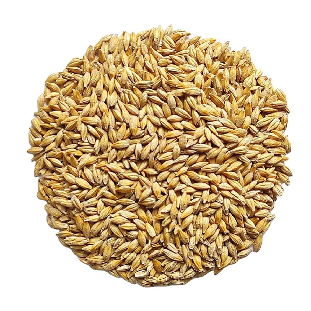 Animal feed barley grain product of Kazakhstan high quality barley grain in bulk