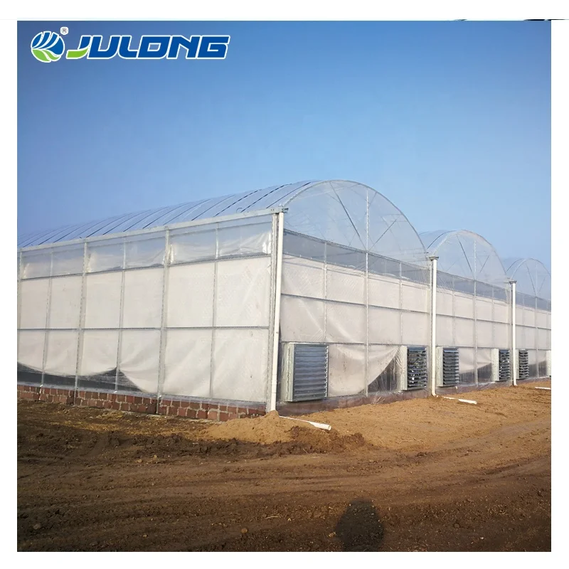 Cheap Hydroponic Multi Span Greenhouse Smart Farm Tomato Strawberry Greenhouse Supplier