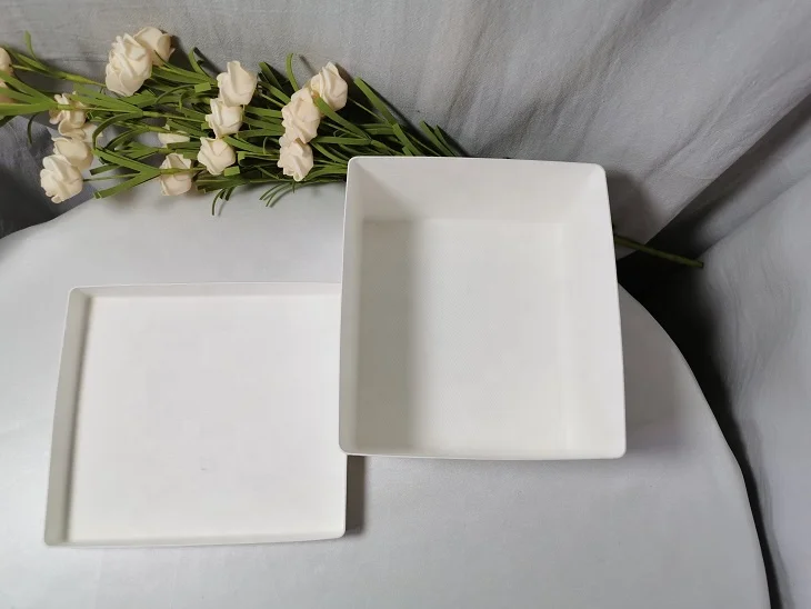 New Product Disposable Biodegradable Recycled Molded Paper Pulp Environmental Material Bagasse Pulp Tray