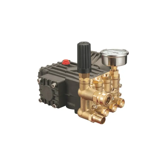 2023 HOT SELLING FACTORY 250 bar 2 output pressure washer