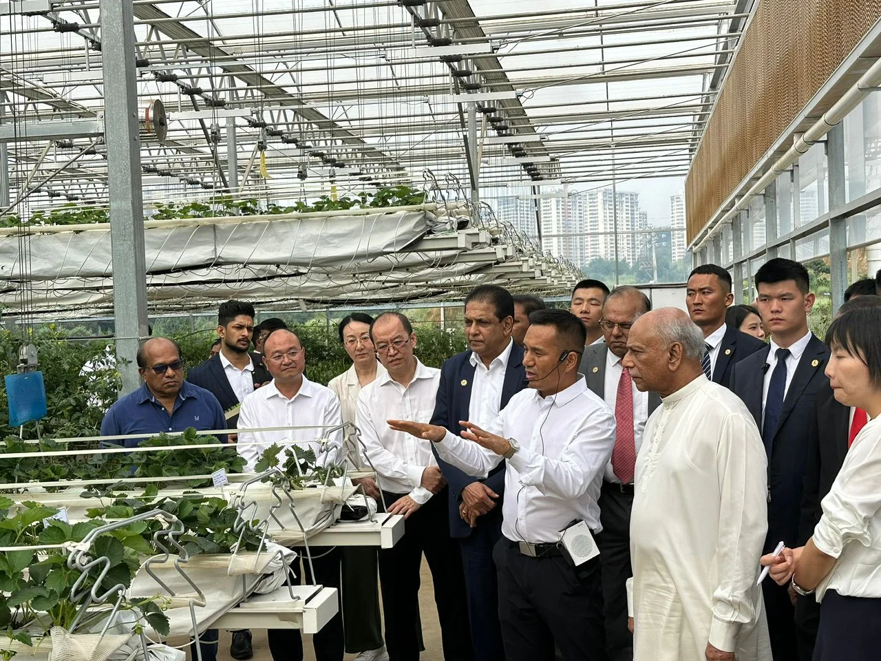 Pc Sheet Greenhouse Polycarbonate Agriculture Greenhouse Commercial Greenhouse  with Tomato Growing System Large