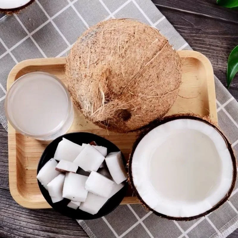 Organic Coconut Milk Powder Coconut Protein Powder Wholesale Pure Coconut Powder Without Sodium Caseinate