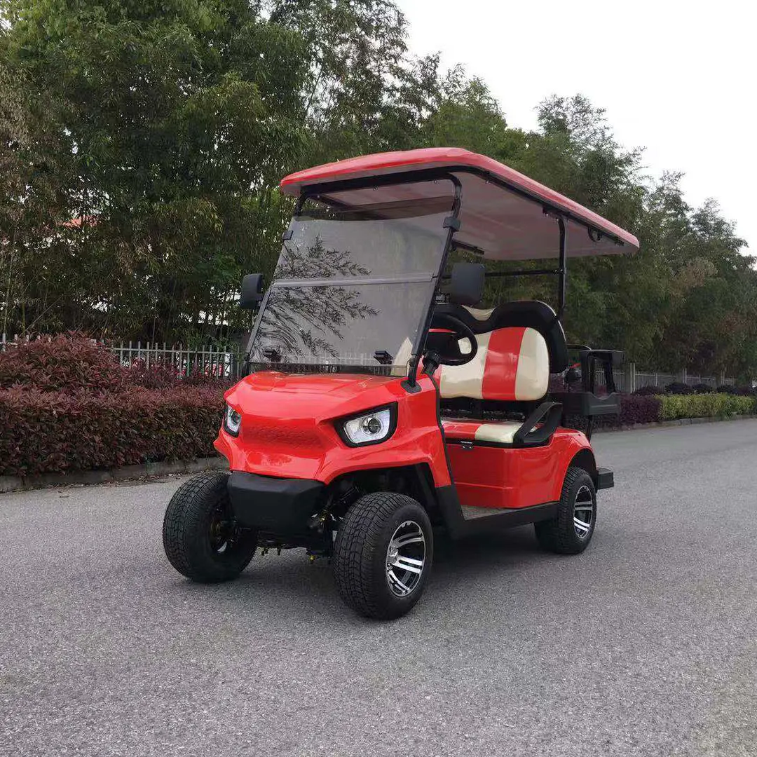 2 person electric golf cart AW2024KSF 2 seats electric mini car