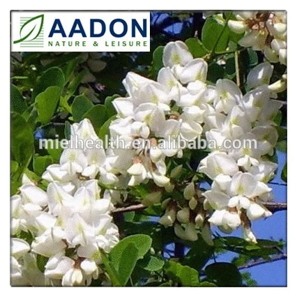 
100% PURE ACACIA Honey, Chinese honey, polyflora honey 