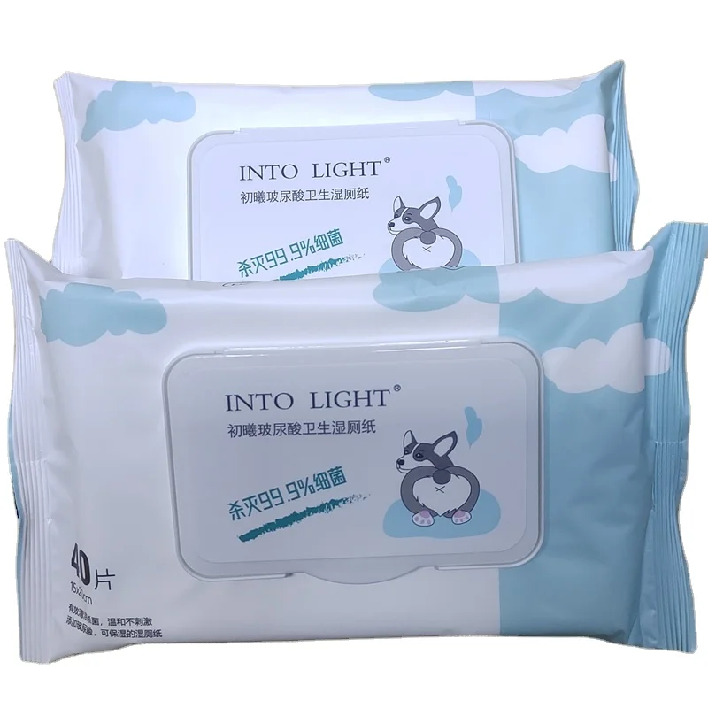 private label biodegradable bamboo flushable wet toilet wipes disposable wet toilet tissue seat wipes adult children skin care