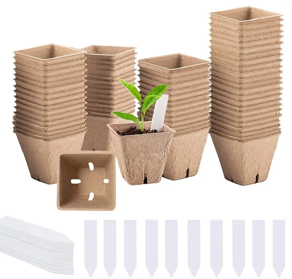100% Eco-Friendly and Biodegradable Customized Paper Pulp Packaging