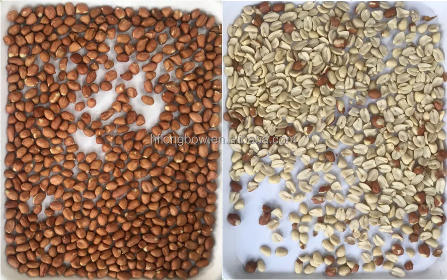 Professional Custom Nut Color Sorter Machine Sorting Equipment Machine Color Sorter For Pulses