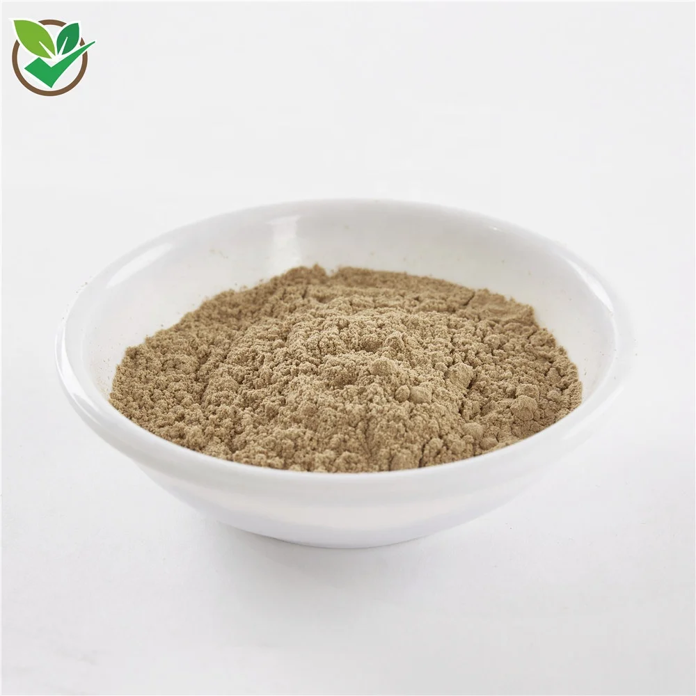 
Wholesale Pure Selenium Enriched Oyster Mushroom Powder Mushroom Extract Powder Oyster Mushroom Powder 