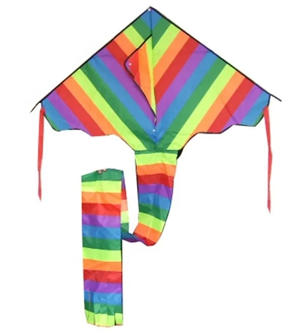 easy flying  outdoor toys Color stitching rainbow delta kite from kite factory