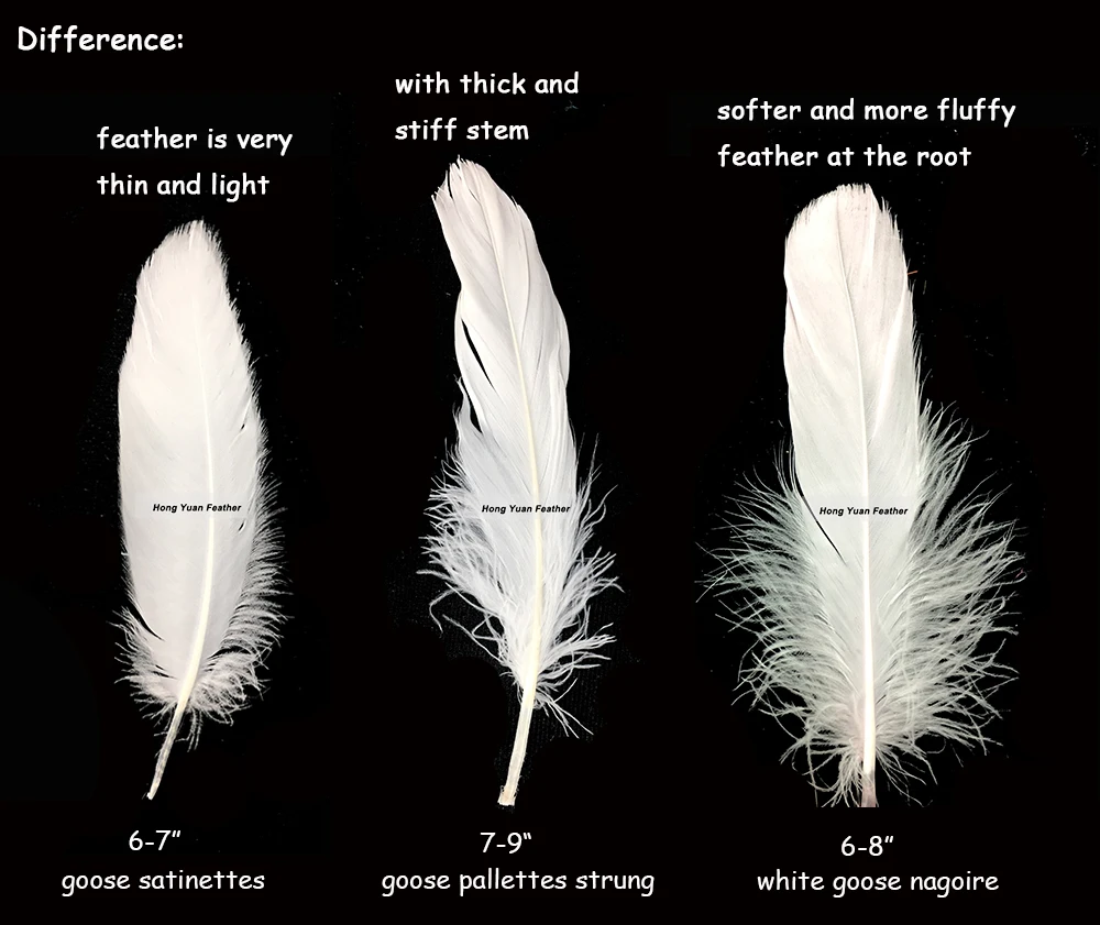 Decorative  Supplier material White dyed Black tail goose biot feather quill for Sale