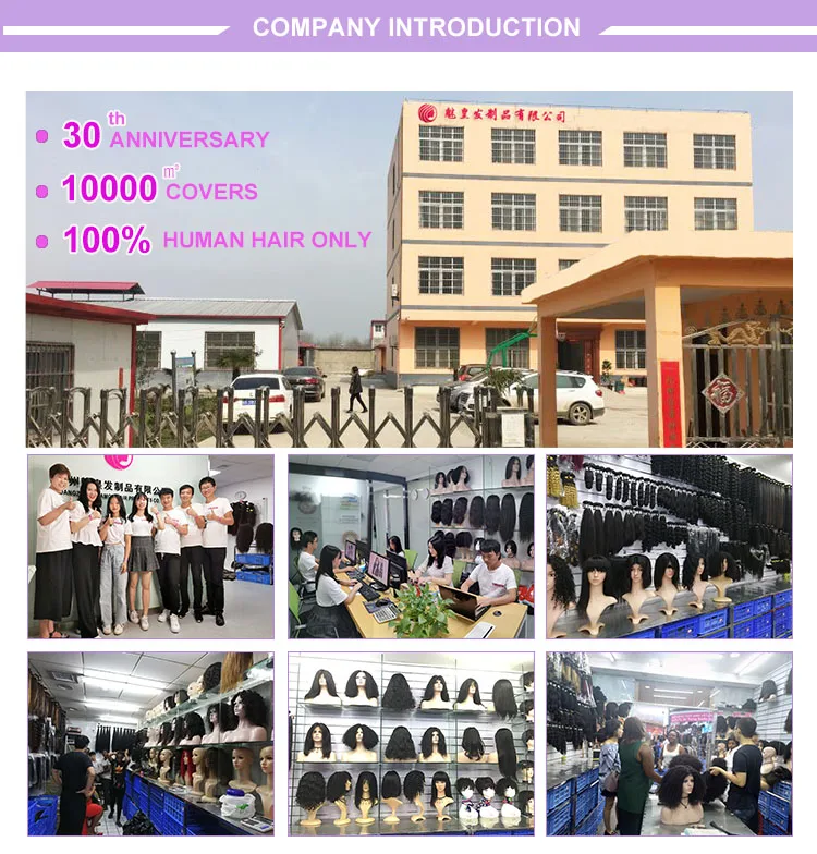 06company introduction