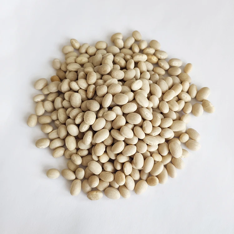 Wholesale Chinese Low Price White Navy Kidney Beans