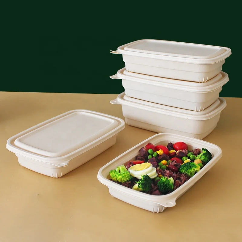 New Arrival Eco Friendly Takeout Food Container 800ml Corn Starch Lunch Box for Snack Dish Kitchen Foldable Customized
