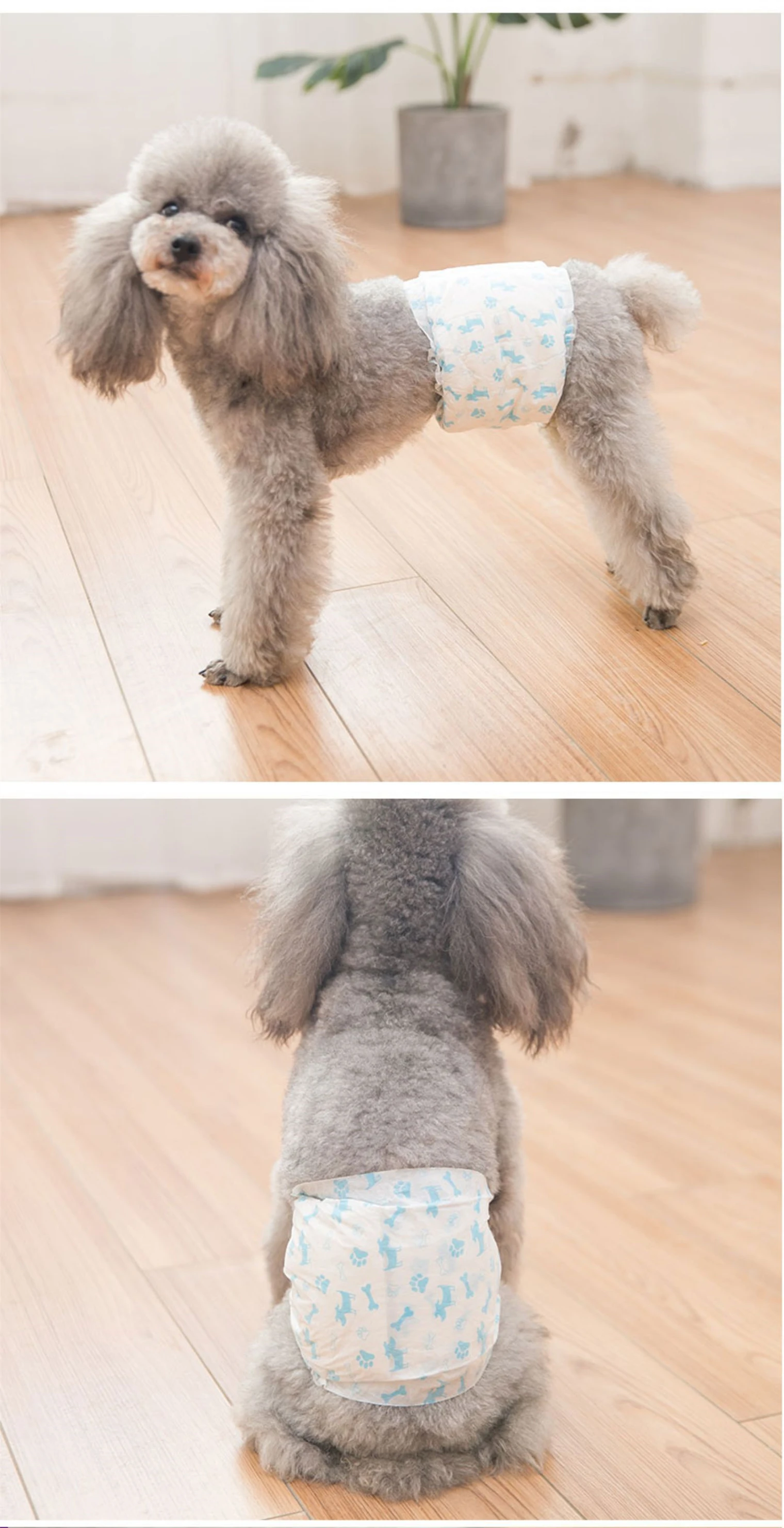 QIJI Disposable Dog Cat Pamper for Male and Female Dog Disposable Pet Diaper