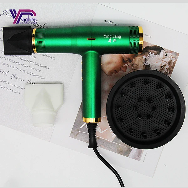 Unique design BLDC Professional Hair Dryer 2500W High Speed Negative Anion Quiet Blow Dryer Electric Hair Dryer
