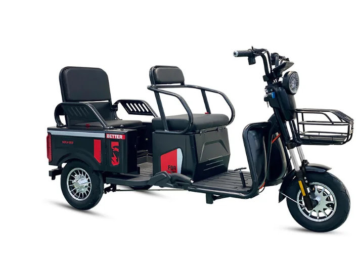 North America ebike 3 wheel/ motorcycle electric bike for old people
