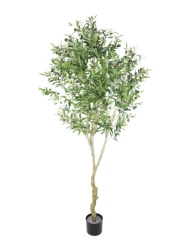 KD упаковка моделирование открытый оливковых деревьев растения пейзаж оливкового дерева украшения 2890 лист 210 см в