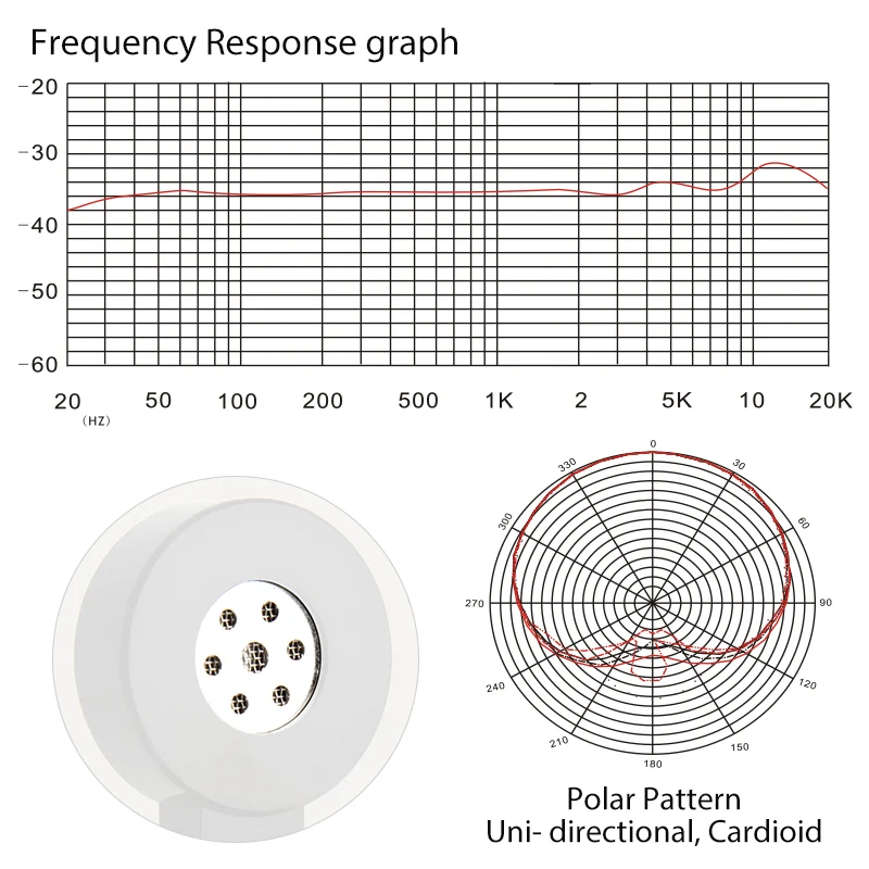 Professional Studio Recording Condenser Microphone and Accessories