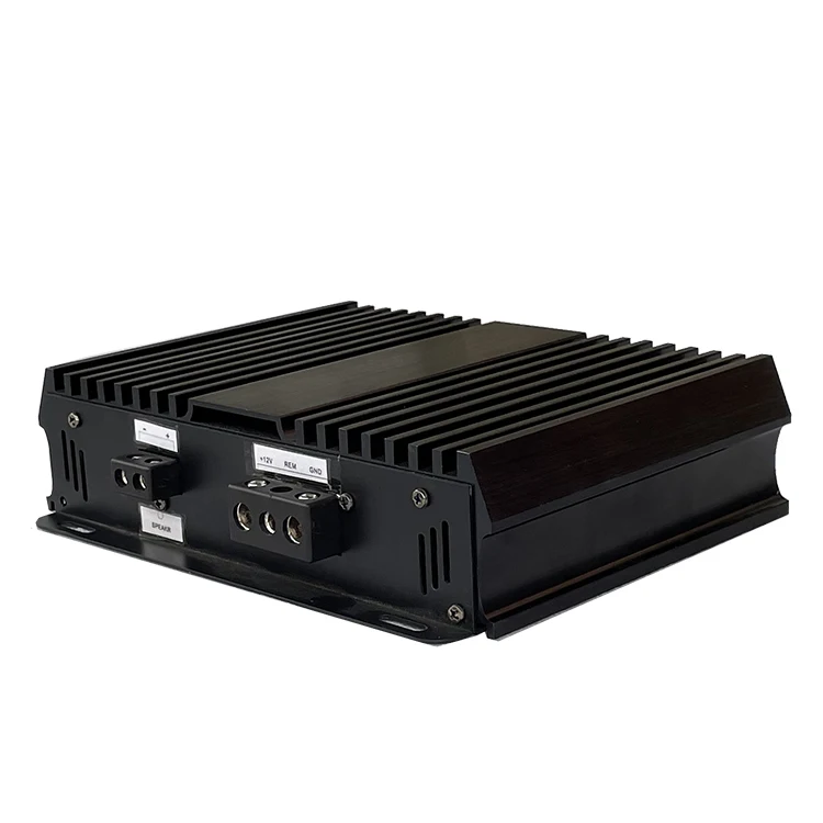 USA Market Mini Size Customized Support RMS 1000W Monoblock Full Range Class D Latest Professional sound Mini Car Amplifier