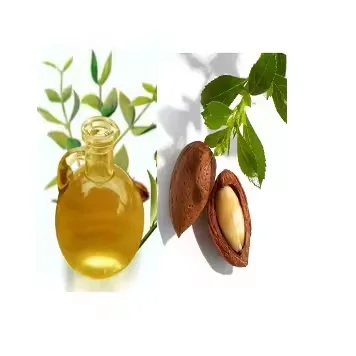 Wholesale Bulk Price Natural Jojoba Oil Best Reasonable Price Aroma Jojoba Essential Oil Supply By Exporters