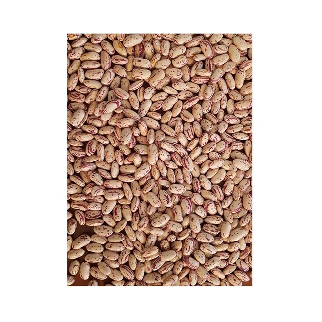 Fresh Tasty Low Price Prermium Quality Healthy Light Speckled Kidney Beans From Ethiopia Manufacturers