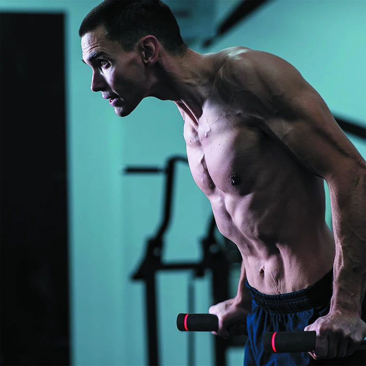 DP8228 Red Dip Station Dip Bar Parallel Bars for Home Workout with 500 LBS Loading Capacity