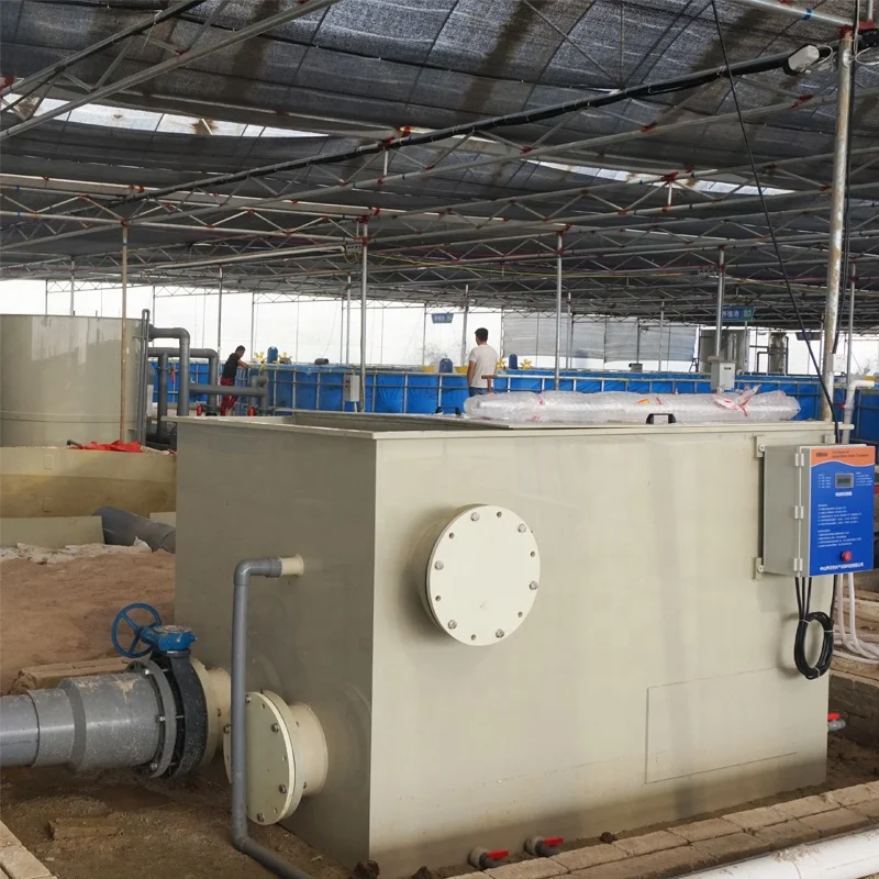 Ewater aquaculture tilapia farming system indoor RAS Cobia Fish Project in Australia