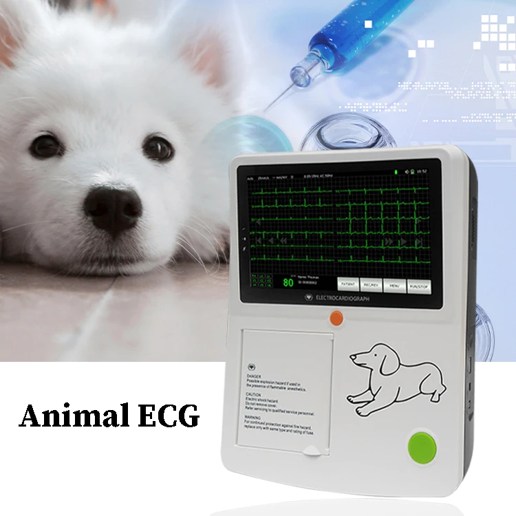 Colorful screen 12 channel digital veterinary monitor electrocardiogram for Clinic home ecg machine