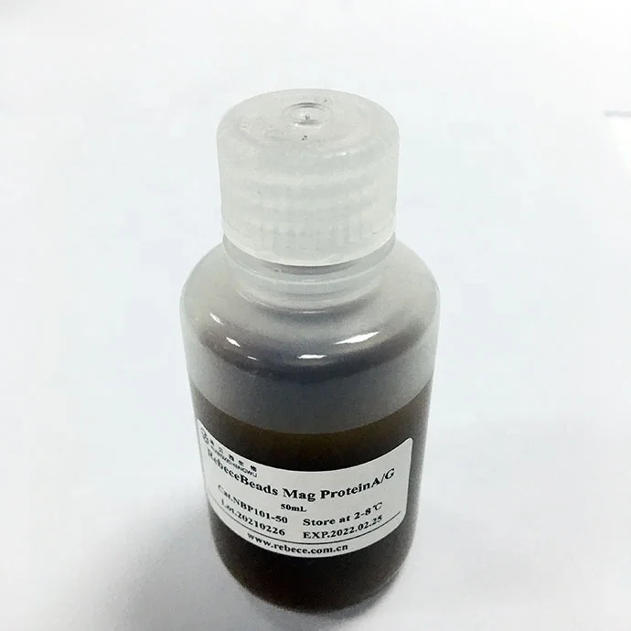Hot-sale Professional Lower Price Magnetic Beads Protein A/G Extraction Kit