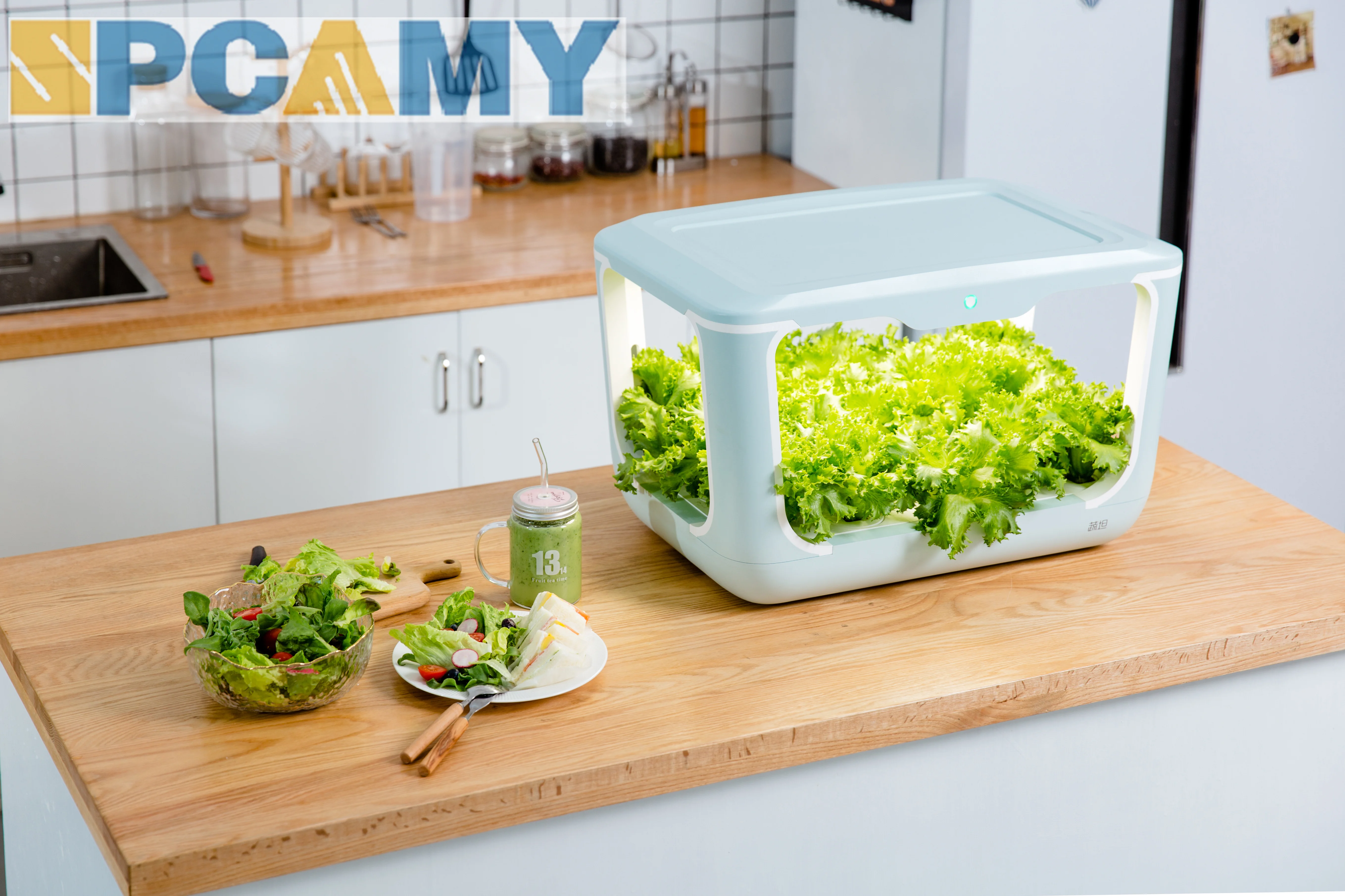 2024 Intelligent Technology Control Nutrient Solutions 5W Effortless Indoor Vegetable Seeds Planting Machine