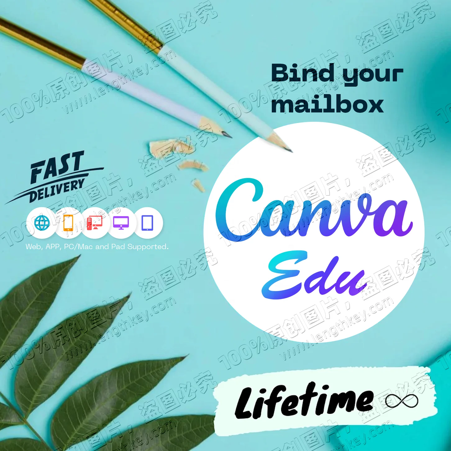Canva Edu Private Account Lifetime Official Genuine Original Email Delivery Online Graphic Design Software