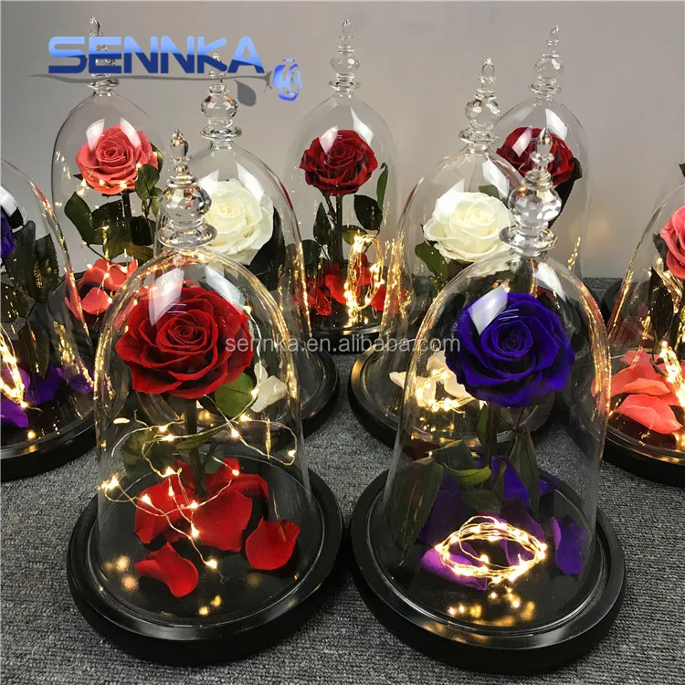 Wholesale Beauty and the Beast Design Flowers Real Natural Single Preserved Rose in Glass Dome for Wedding Decoration