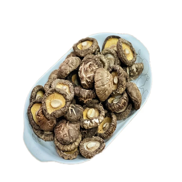 Dry shiitake mushroom 13%Max moisture dried mushroom for sale shiitake brown  mushrooms