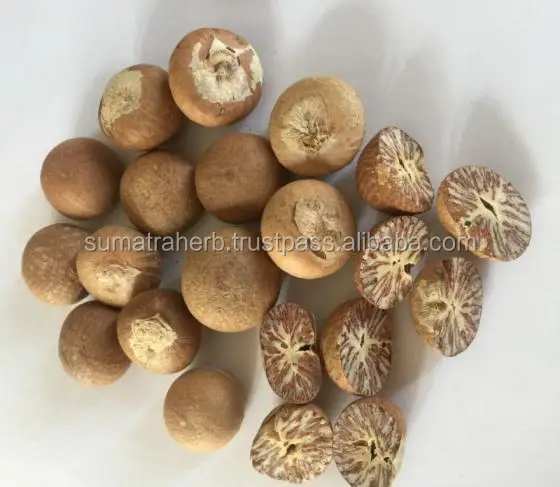 
DRIED WHOLE BETEL NUTS/ ARECA NUTS FROM INDONESIA WITH BEST PRICE 