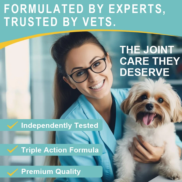 OEM Pet Probiotic Digestive Care Animal Medicine Skin Health Promoting Probiotic chews for Dogs
