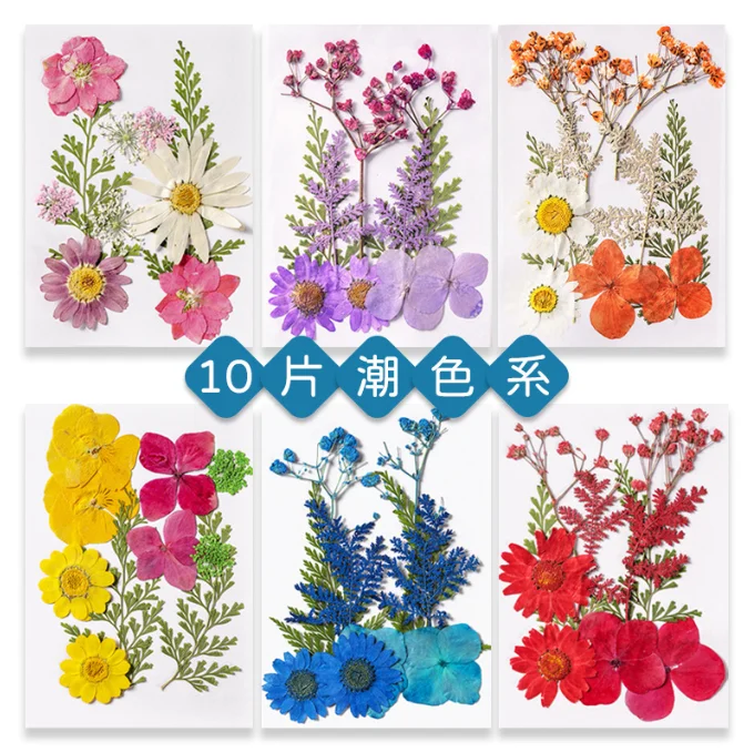 Hot Sale DIY Art Crafts Various Dried Pressed Flower Kits for Scrapbooking Epoxy Resin Jewelry Molds Candle Soap Making