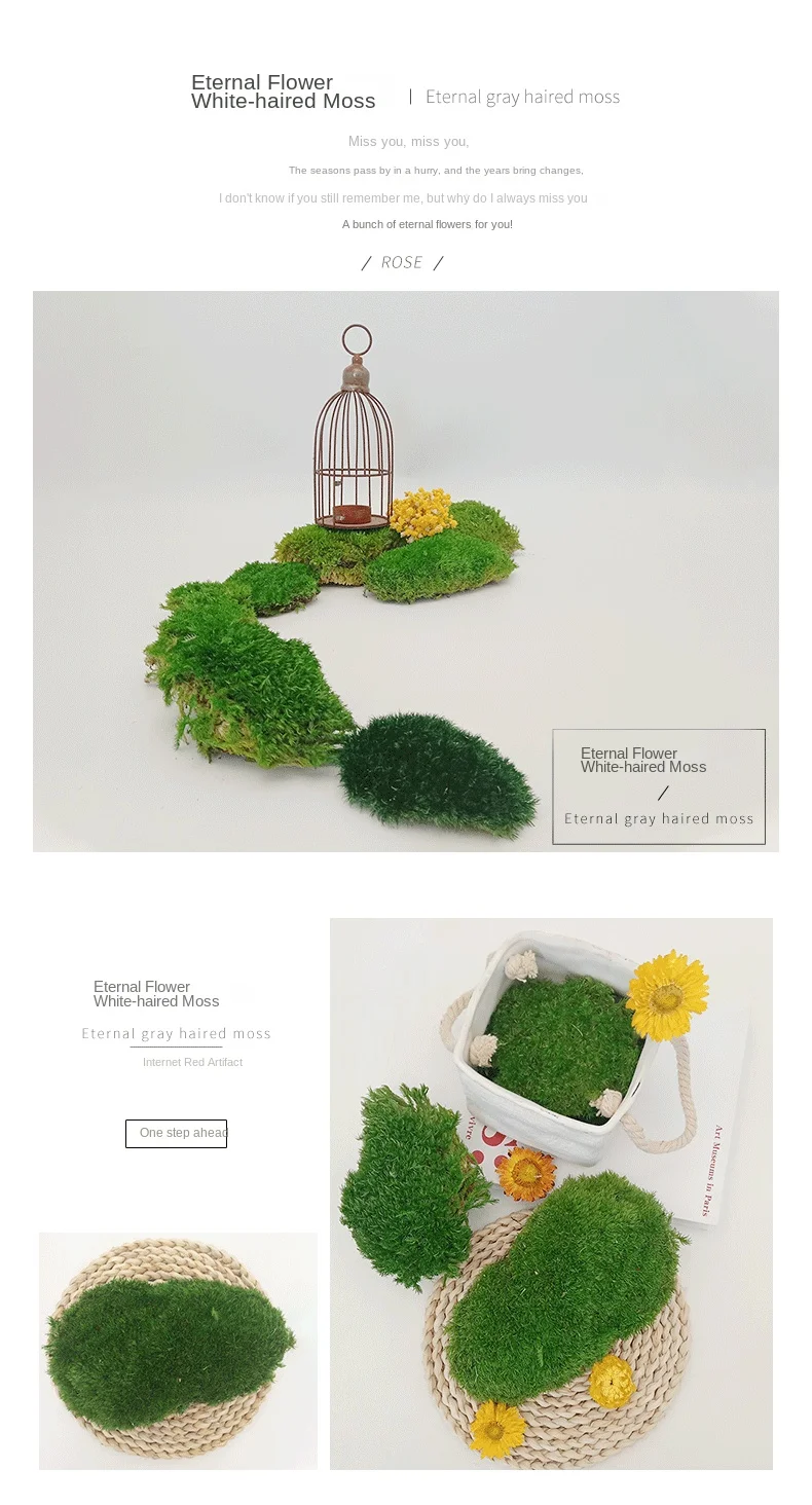 Высокое качество офисный дом украшение стены полюс булочка Leucobryum Glaucum консервированный мох