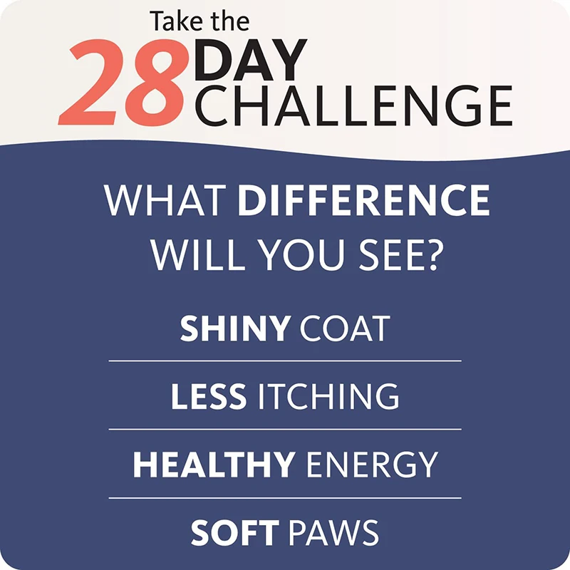 100% natural salmon oil for dogs pet health care supplements salmon oil pet supplement for skin and coat