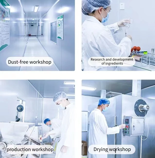 Wholesale High Quality OEM Price No Sugar Sport Whey Protein Powder Golden Standard Bulk For Food